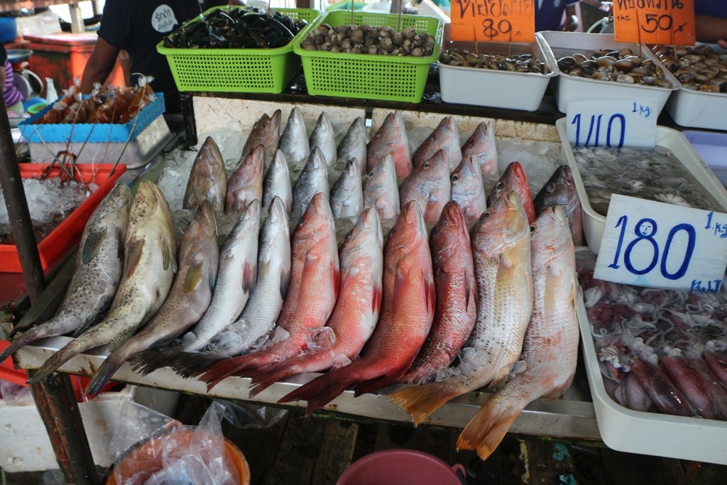 Leckerer Sefisch, frisch gefangen, riecht überhaupt nicht und schmeckt bestimmt hervorragend, ich habe gleich ein Pfützchen auf der Zunge!