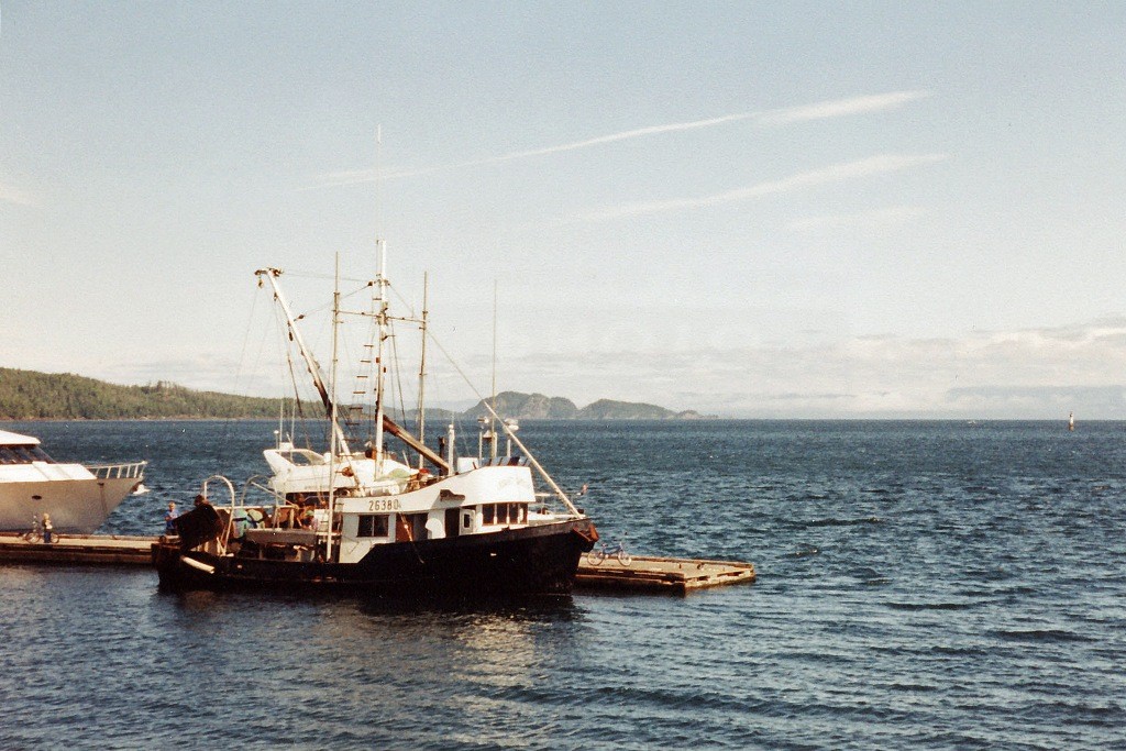 ...am Hafen in Port Hardy