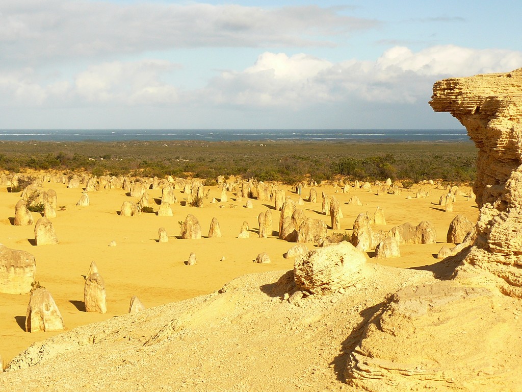 Die Pinnacles sind Kalkstein -Formationen die aus Muscheln in früheren Epochen durch Auswaschungen entstanden
