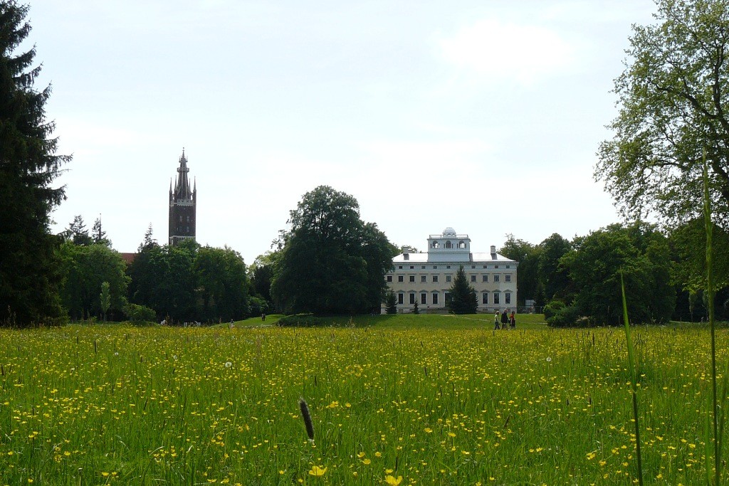 Blick von Schochs Garten über die Frühlingswiese auf das Wörlitzer Schloss und die St. Petri Kirche
