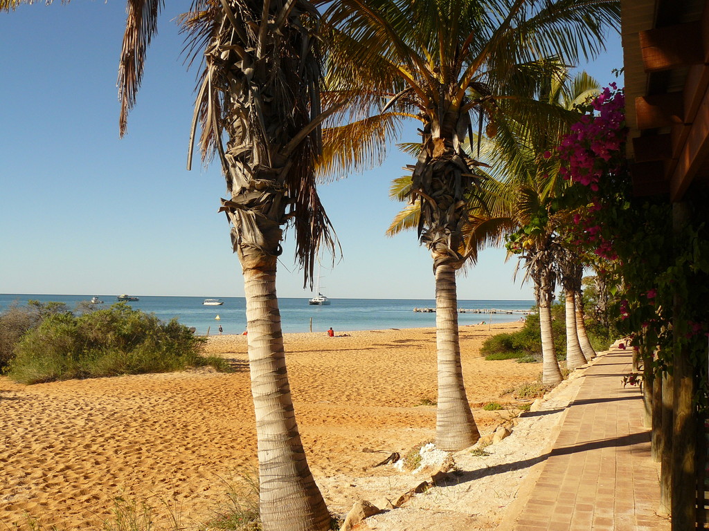 Am Strand von Monkey Mia, paradisisch, wunderschön aber hoch frequentiert