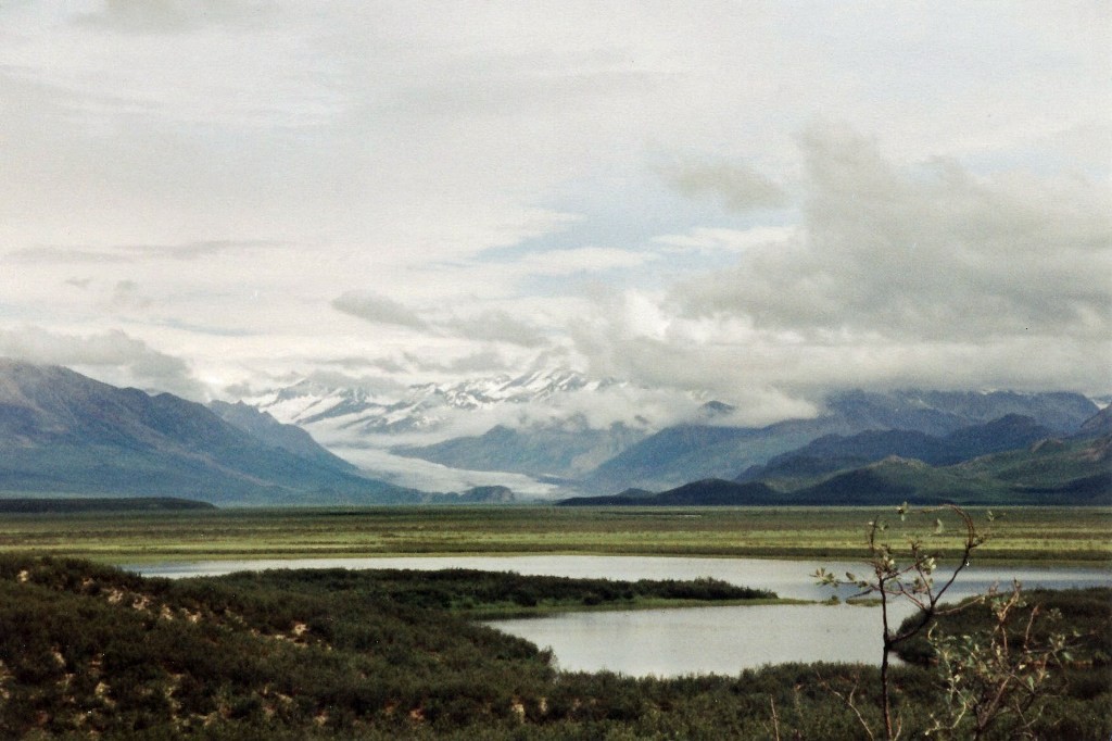 Landschaft am Denali Hwy hier nahe dem Brushkana Campground