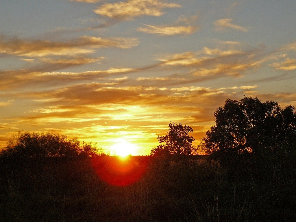 Wir sind rechtzeitig, kurz vor Sonnenuntergang im großen Camp des Eighty Mile Beach´s angelangt. Für dieses Foto hatten wir gerade noch Zeit.