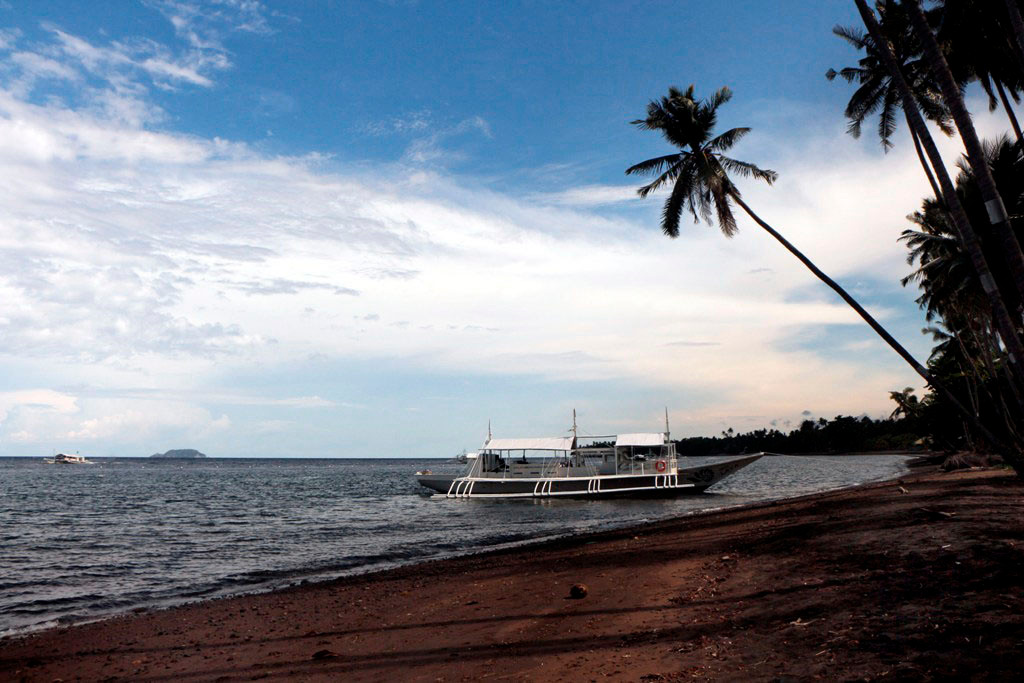 ...und heute soll es zur Tauch- und Schnorcheltour nach Apo Island gehen!
