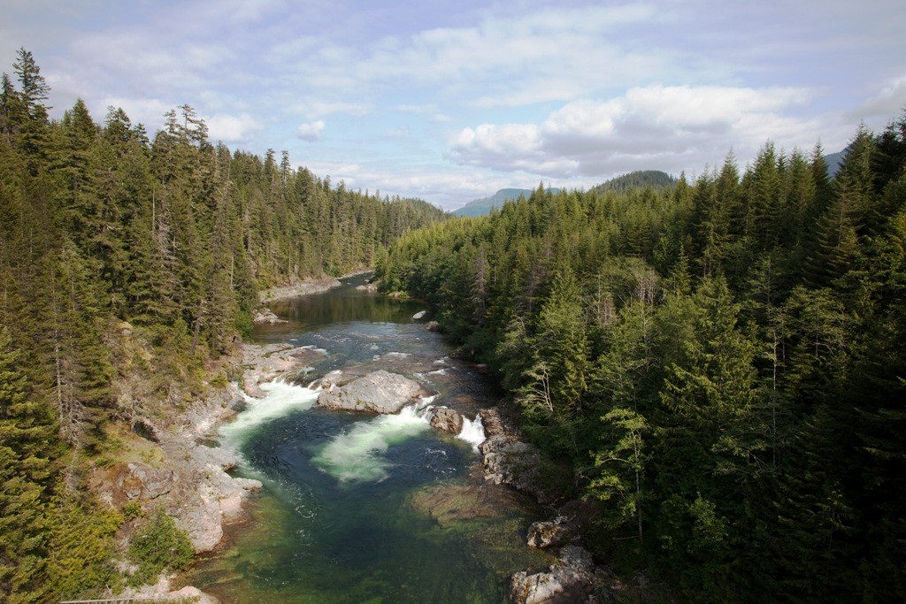 Hier scheint er sogar goldenes Wasser zu führen, der Gold River