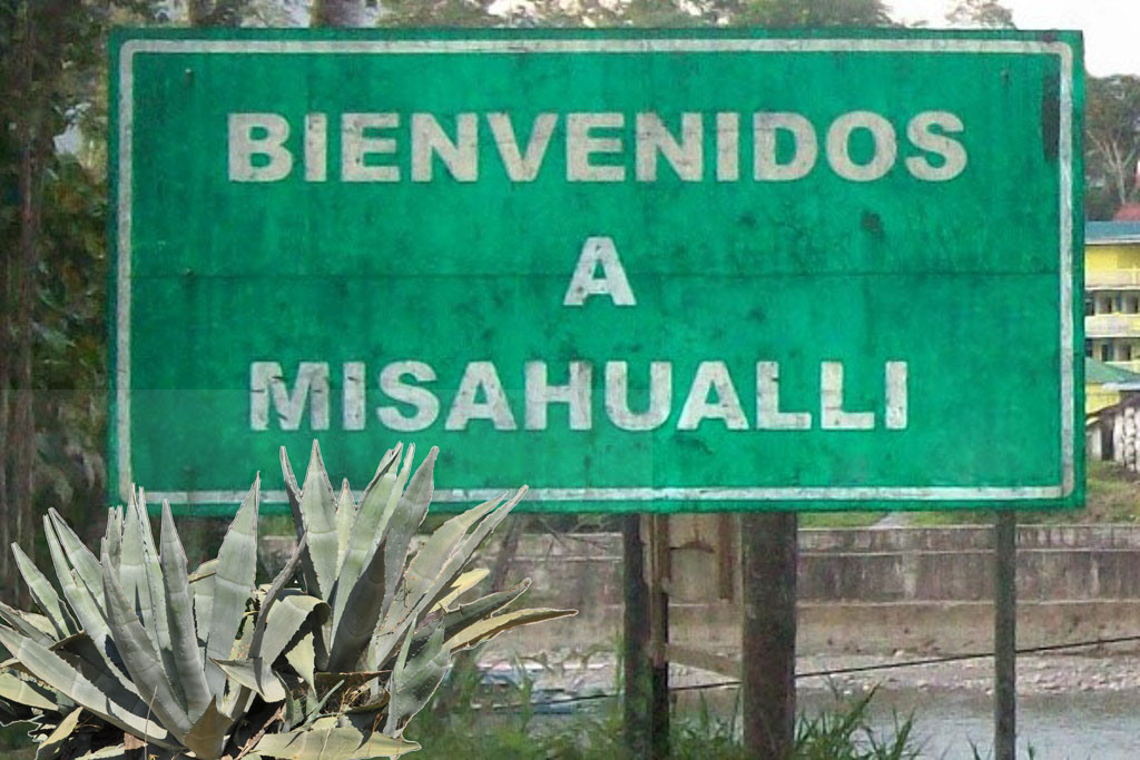 Aufwiedersehen, Adios, bye bye Misahualli