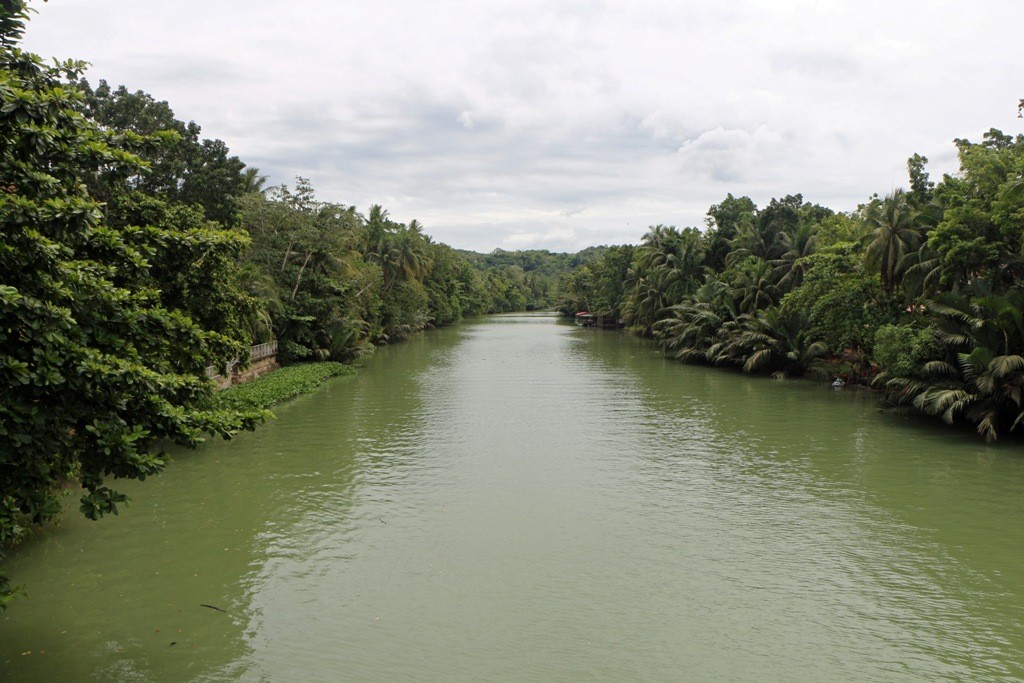 ...der Loboc River!