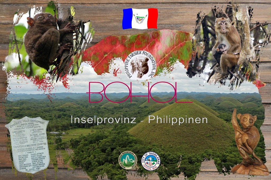 Die Provinz Bohol besuchten wir zwei mal! Zum Beginn unserer Reise als stop over und am Ende inkl. Übernachtung um uns einige der Highlights der Insel anzusehen!