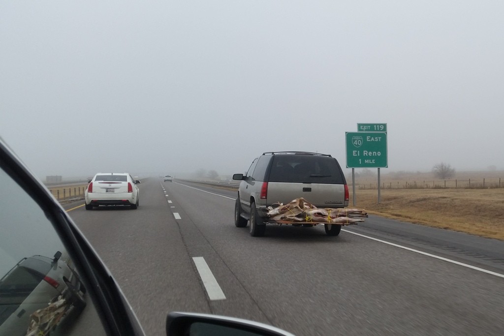 ...was hier so alles mit dem fahrbaren Untersatz transportiert wird ist ein Foto wert