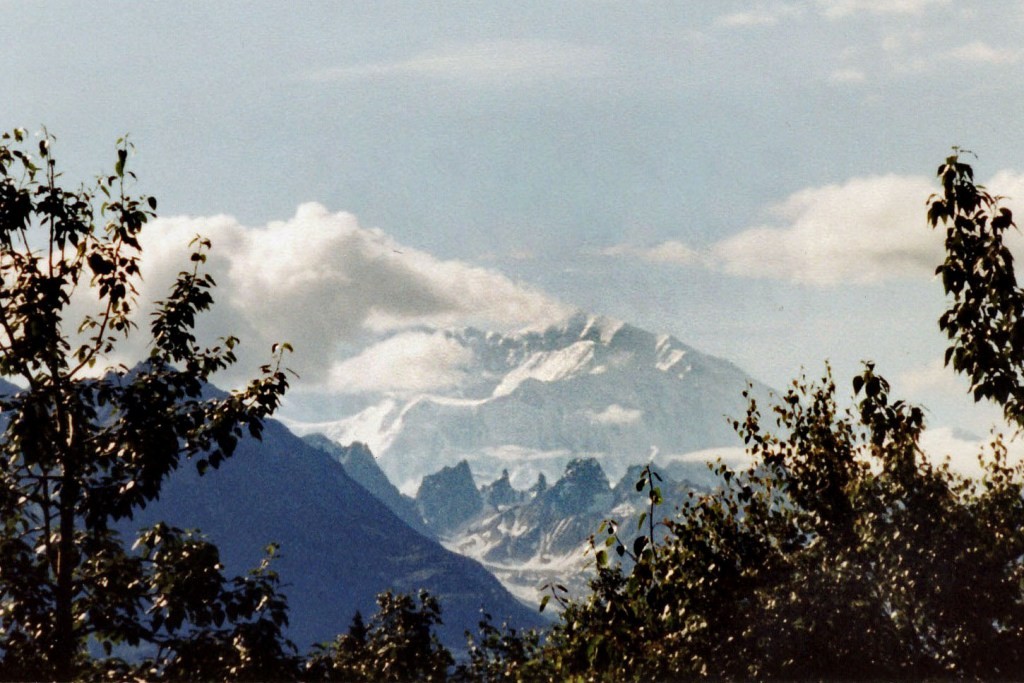 Im Hintergrund der Denali (6.190 m hoch) ehem. Mt. McKinley, innerhalb der Alaska Ranges