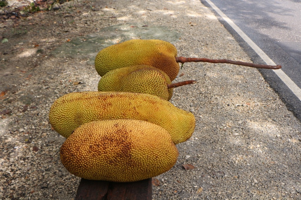 Imposant sind die Früchte allemal, ergo, die Speicherkarte muss herhalten