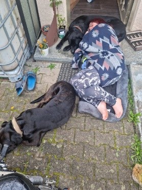 Claudia liegt auf einer Matte vor einer Tür, zugedeckt mit einer gemusterten Decke, neben zwei schwarzen Hunden auf gepflastertem Boden.