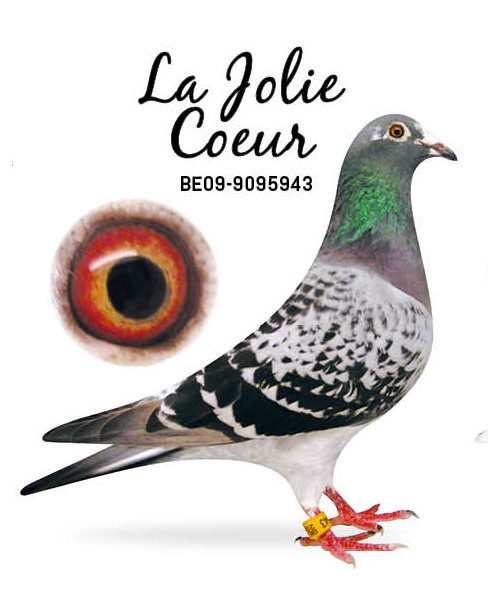 "LA JOLIE COEUR", Grand-mère coté maternel et mère de "SPECIAL One"