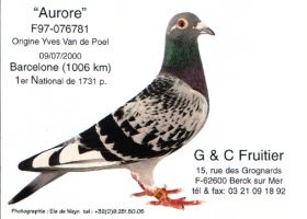AURORE, 1ère Nat. BARCELONE : Grand-mère de Clovis et Athos
