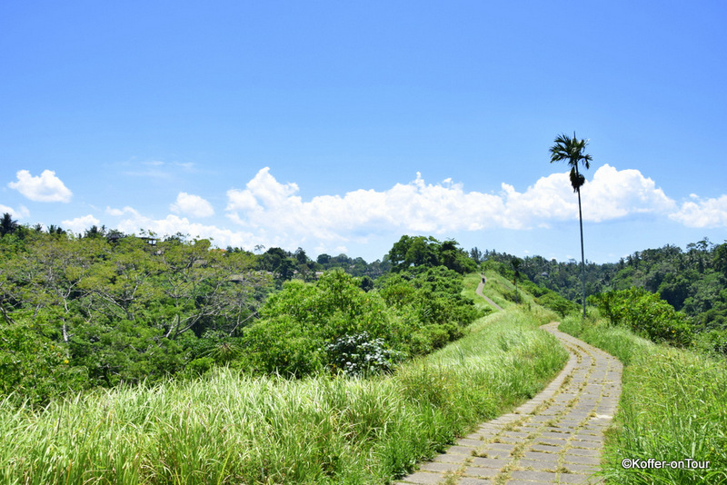 Campuhan Ridge Walk, Ubud, Wanderweg, Bali