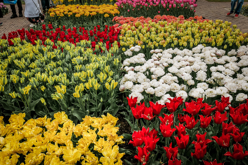 Amsterdam die Stadt mit den Grachten Katrin´s Reiseblog