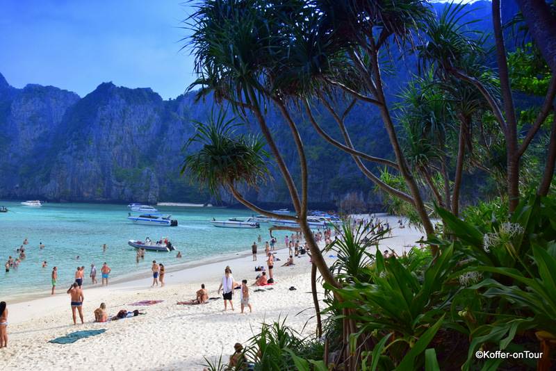 Koh Phi Phi, Strand, Palmen, The Beach, Leonardo DiCaprio, Traum