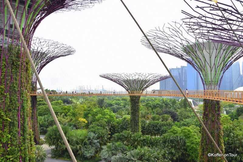 Gardens by the Bay, Supertrees, Singapur