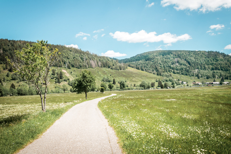 Geißenpfad, Schwarzwald, Deutschland, Black Forrest, Menzenschwander Wasserfall