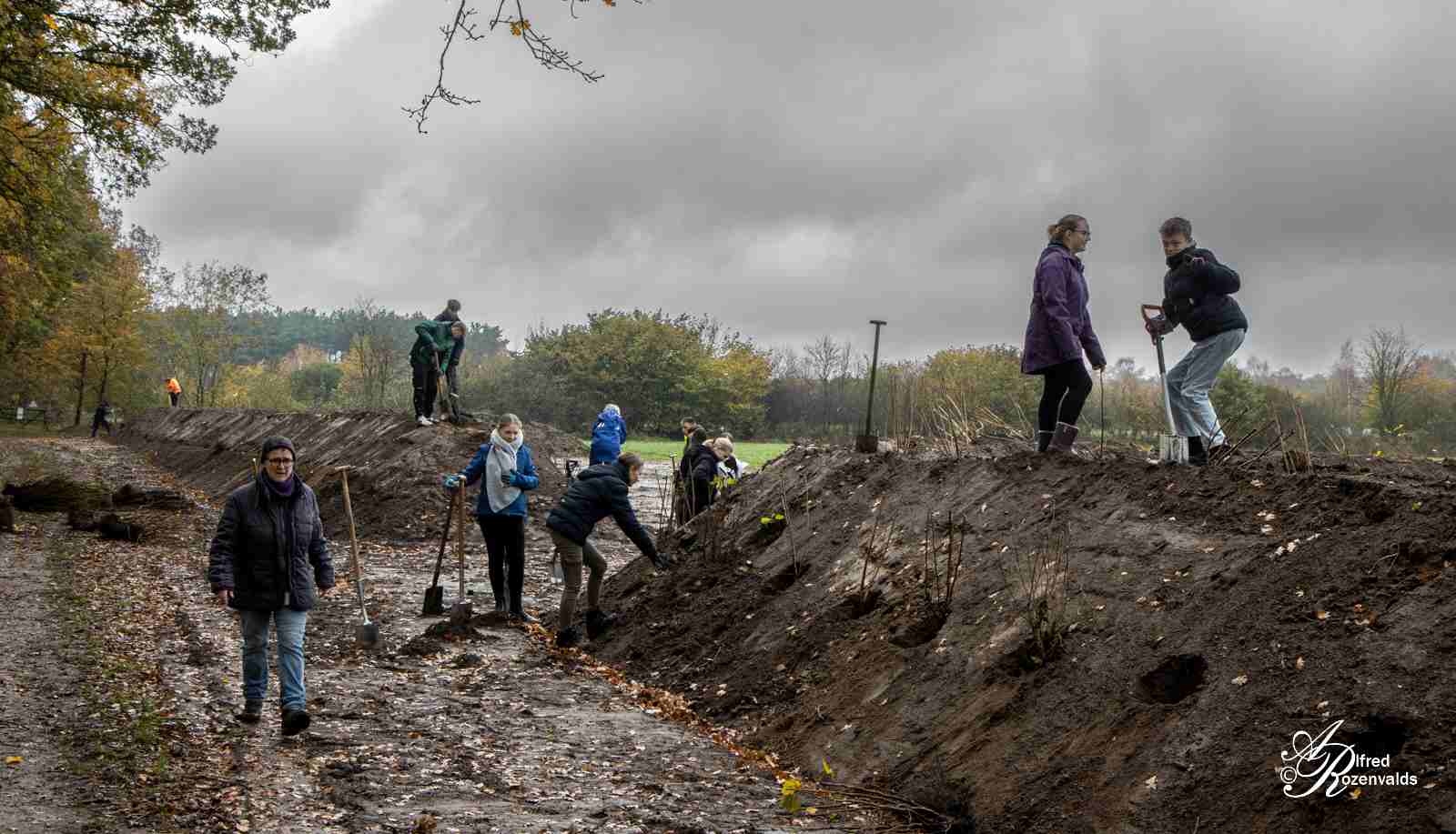 die Schüler in Aktion bei der Pflanzung