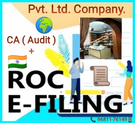 Company Tax 🇮🇳 Service 