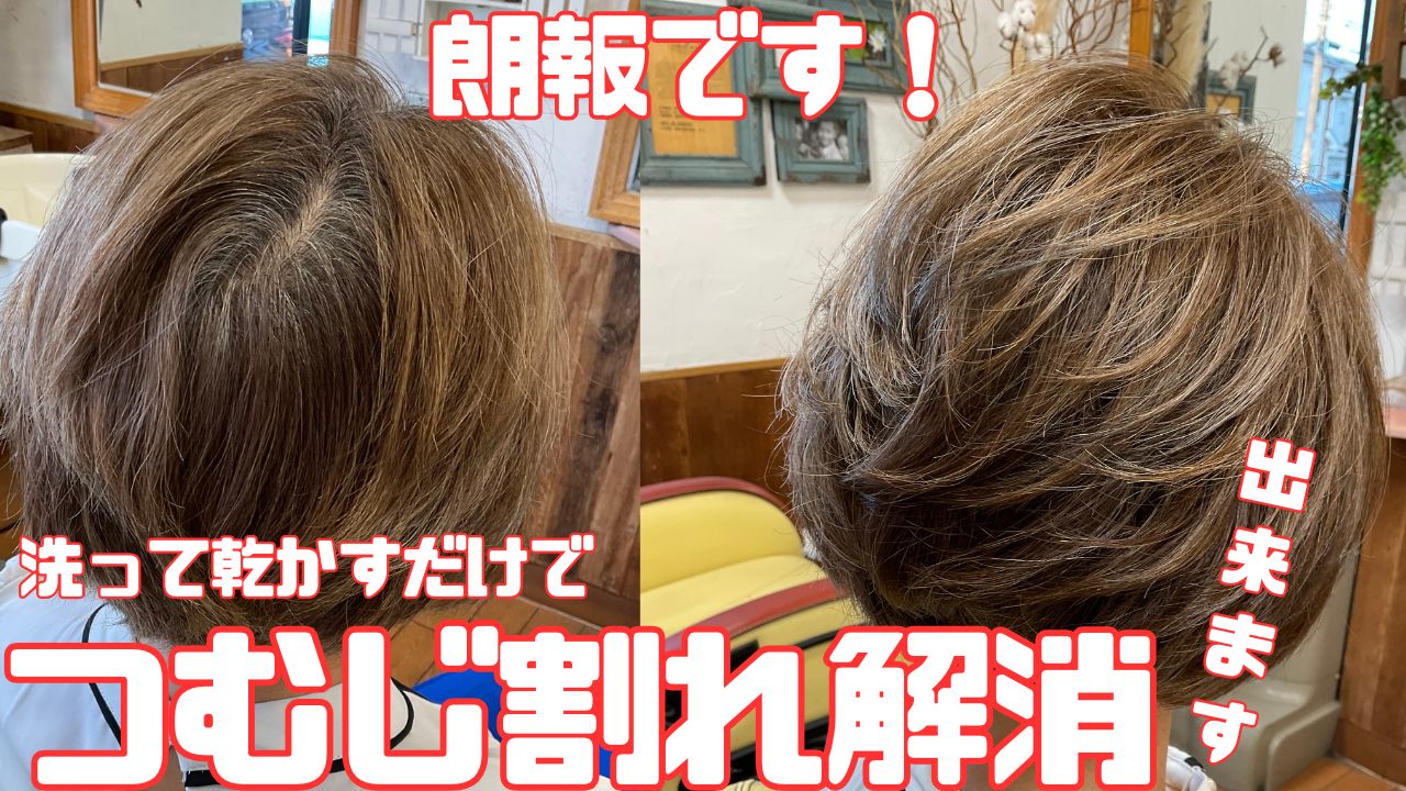 洗って乾かすだけでフンワリ　つむじ割れ解消！