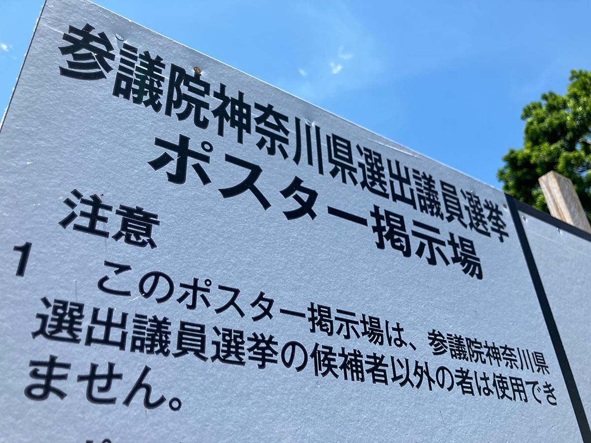 Flower  Revolution