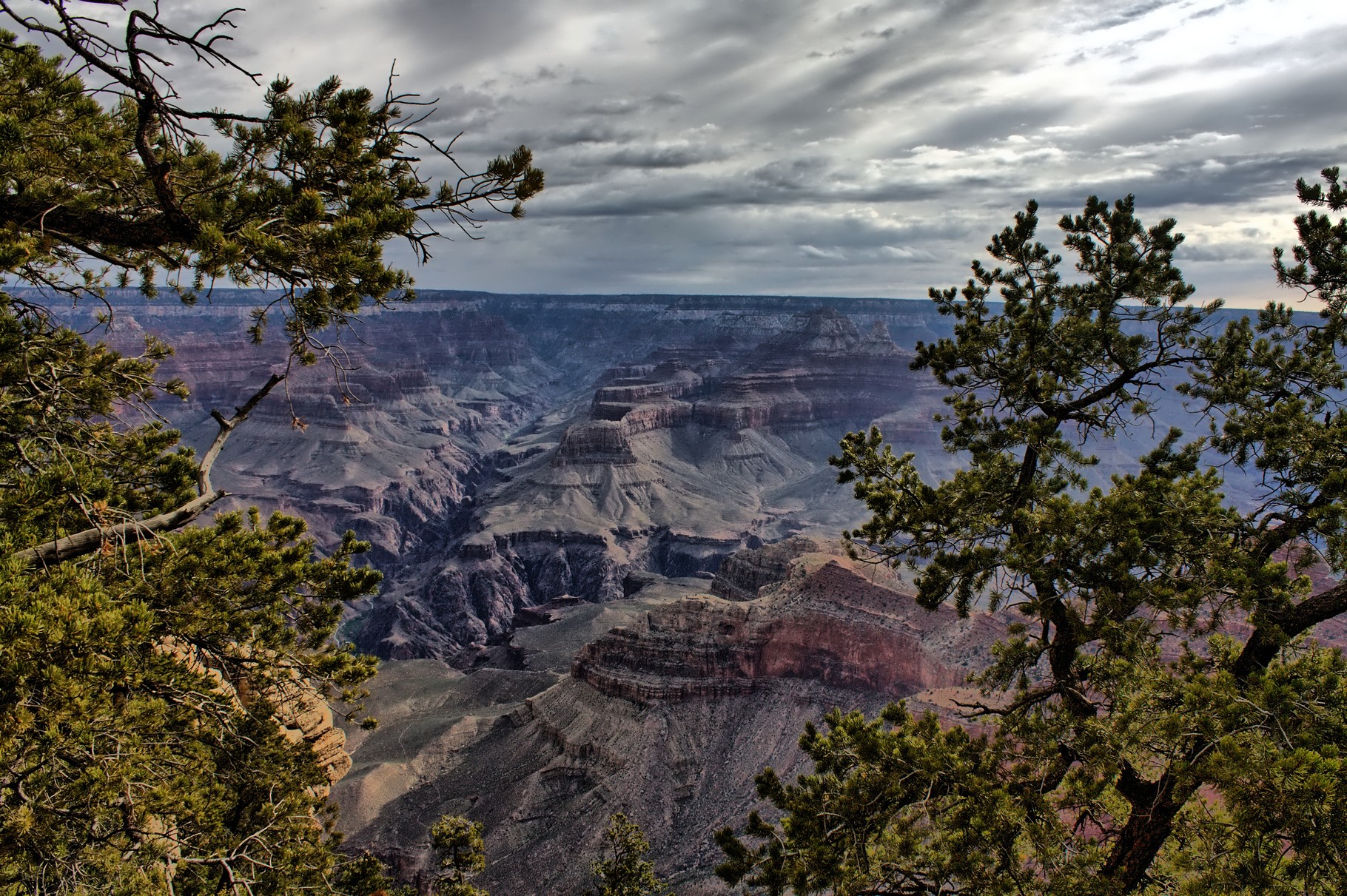 08_Grand Canyon (South Rim) in Arizona