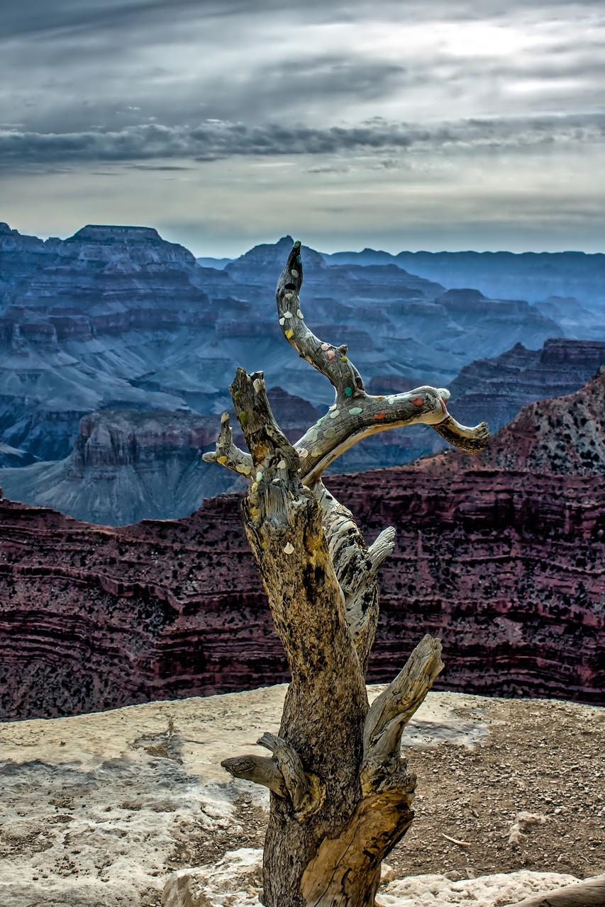 13_Grand Canyon (South Rim) in Arizona