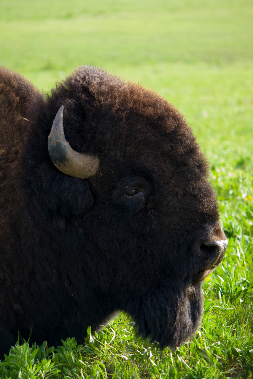 20_Wichita Mountain in Oklahoma