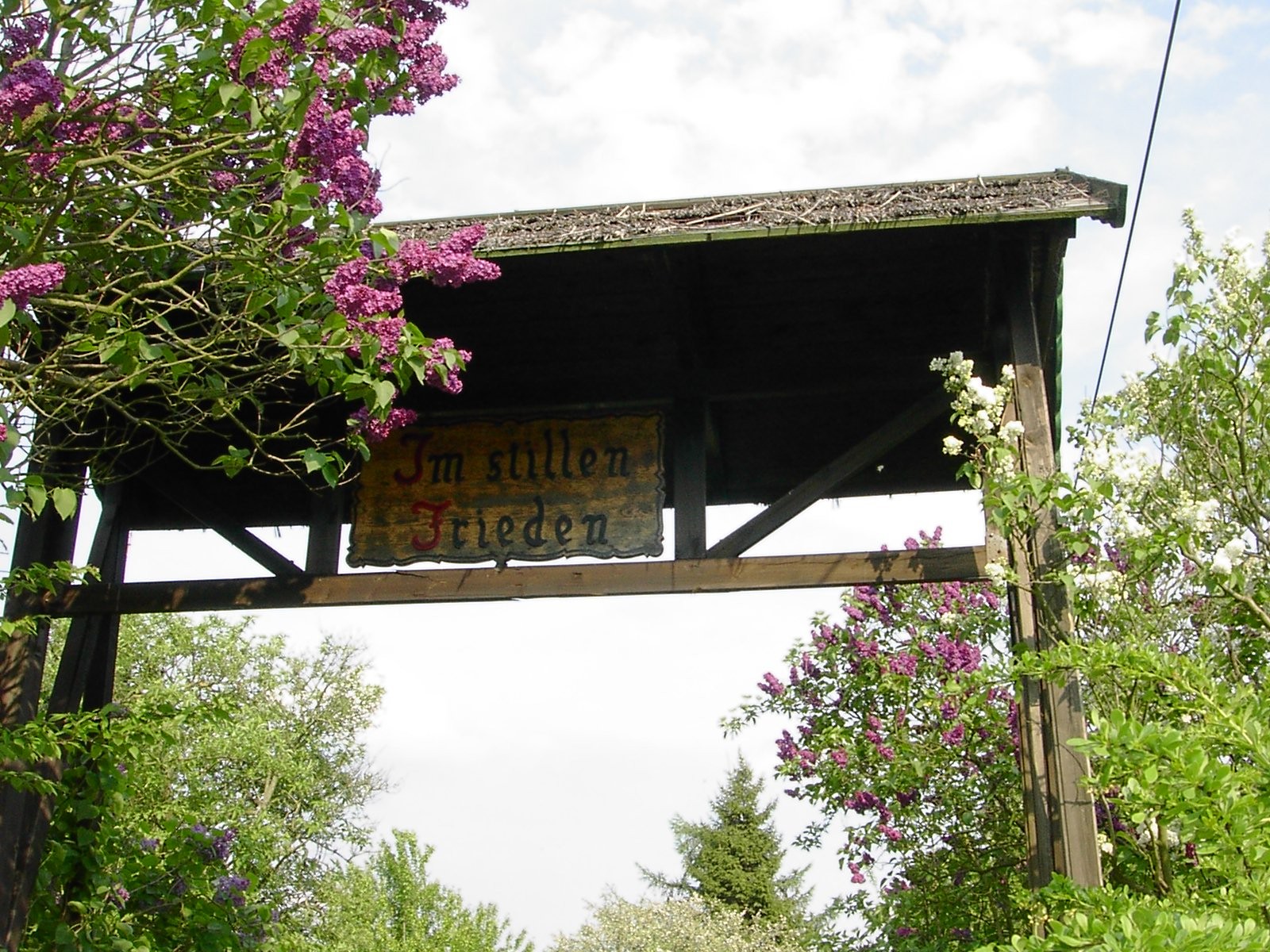 Eingang Buchenweg aus der Altanlage in Richtung Osten Mai 2011