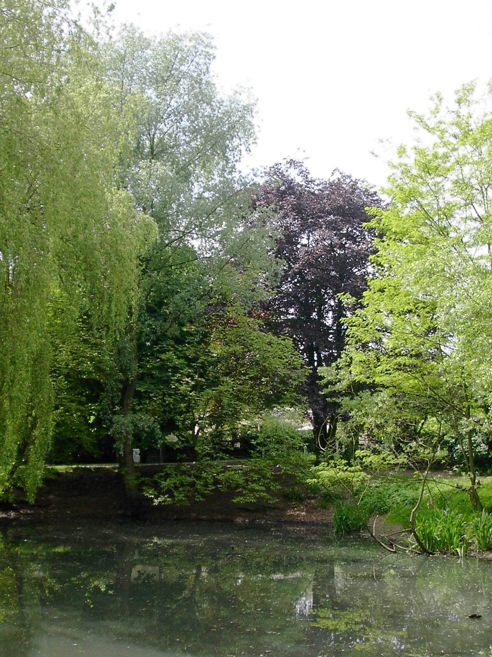 Geteteich aus der Altanlage in Richtung Weser