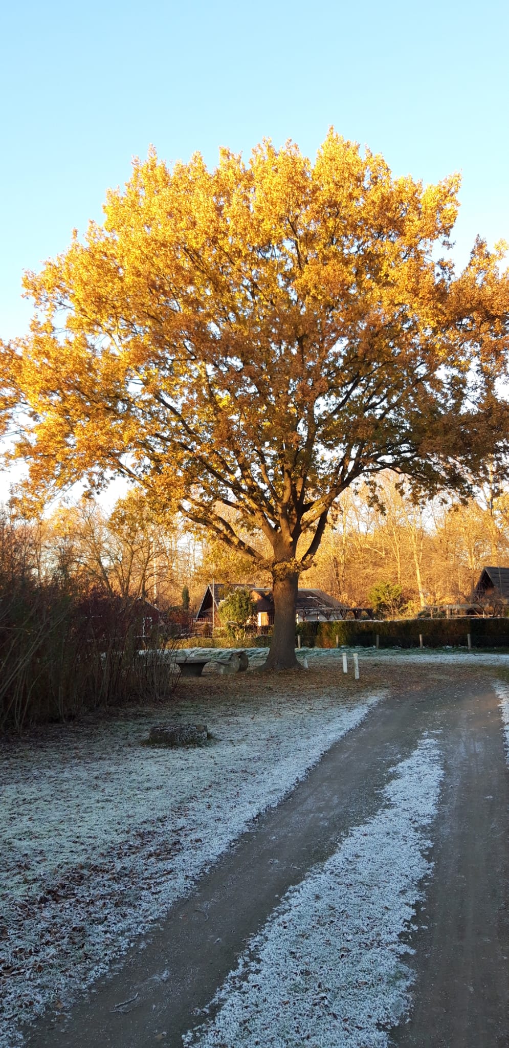 Feuerdornweg in Richtung Norden