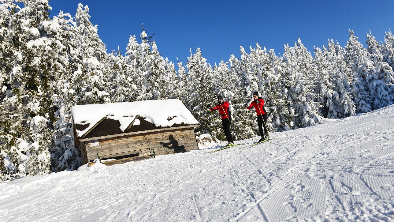 Nordisches Zentrum Ulrichsberg - Schöneben (c) OÖ Tourismus GmbH | Röbl