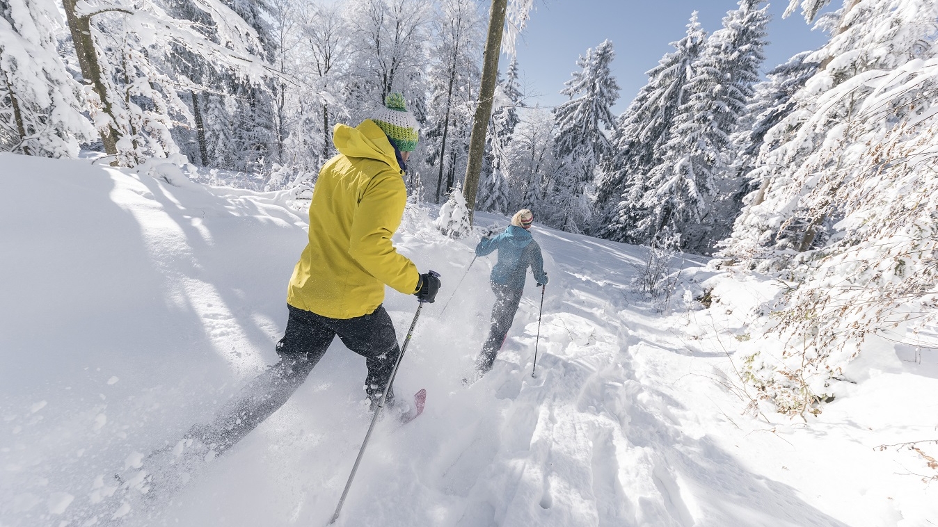 Schneeschuhwandern im Böhmerwald (c) OÖ Tourismus GmbH | Lugmayr