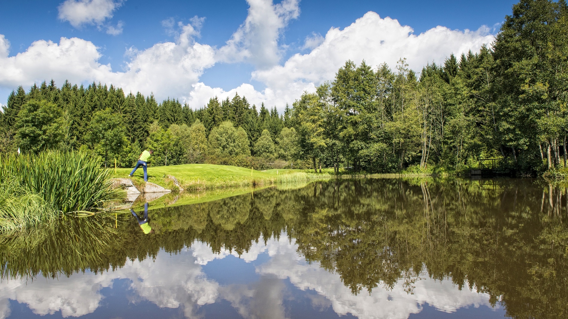 Golfpark Böhmerwald (c) OÖ Tourismus GmbH | Erber