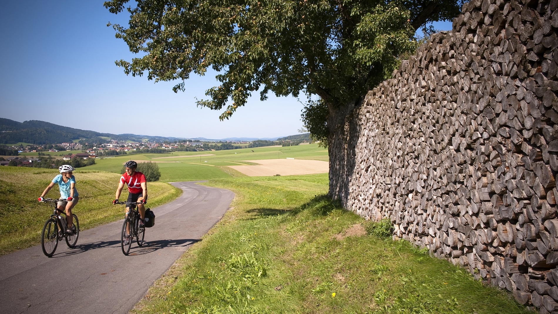 Traumhafte Radwege in der Region (c) OÖ Tourismus GmbH | Erber
