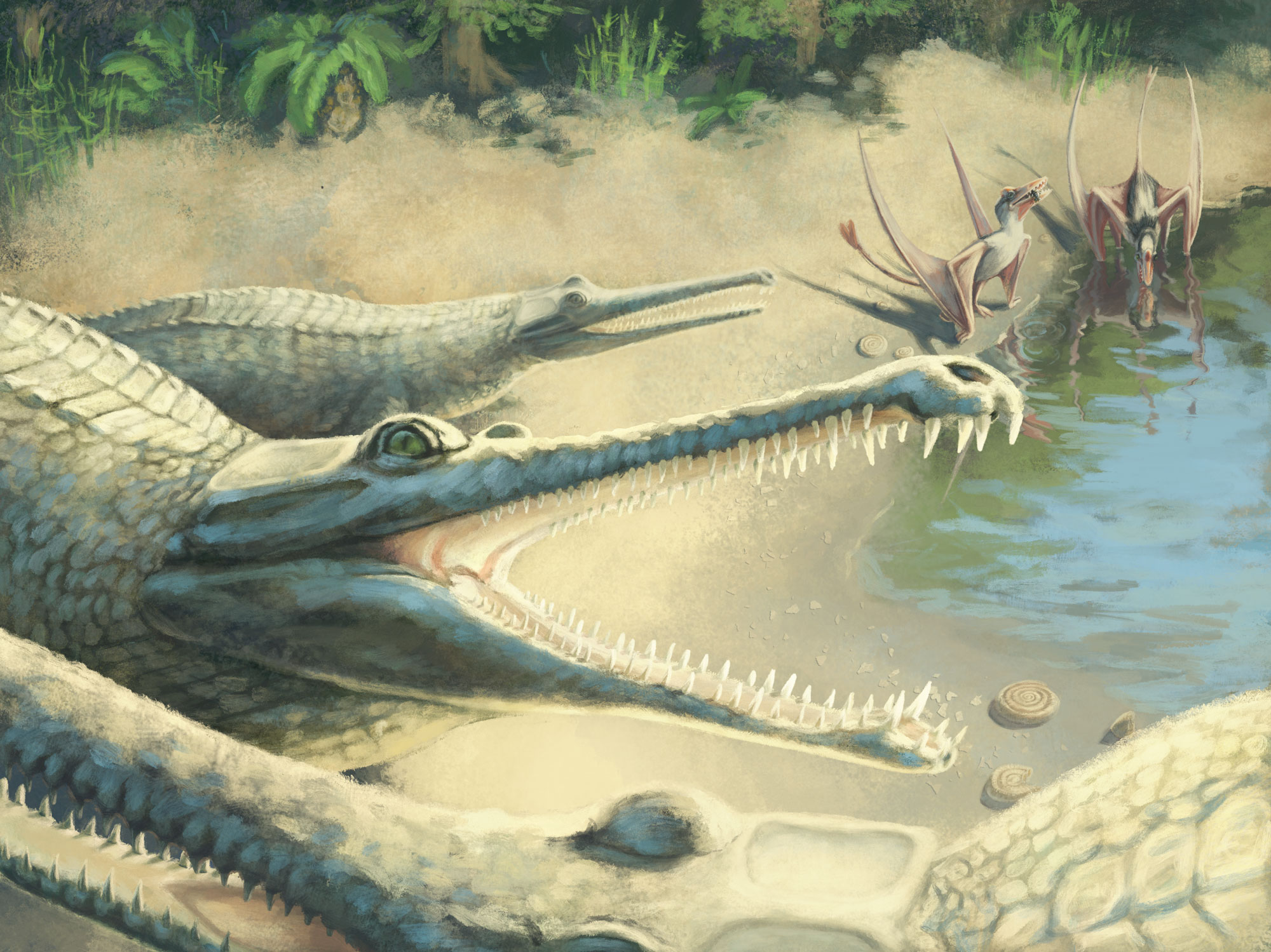 400 млн лет назад какой период. Steneosaurus bollensis. Крокодилы Юрского периода. Юрский период пресмыкающиеся. Крокодиломорфы Юрского периода.