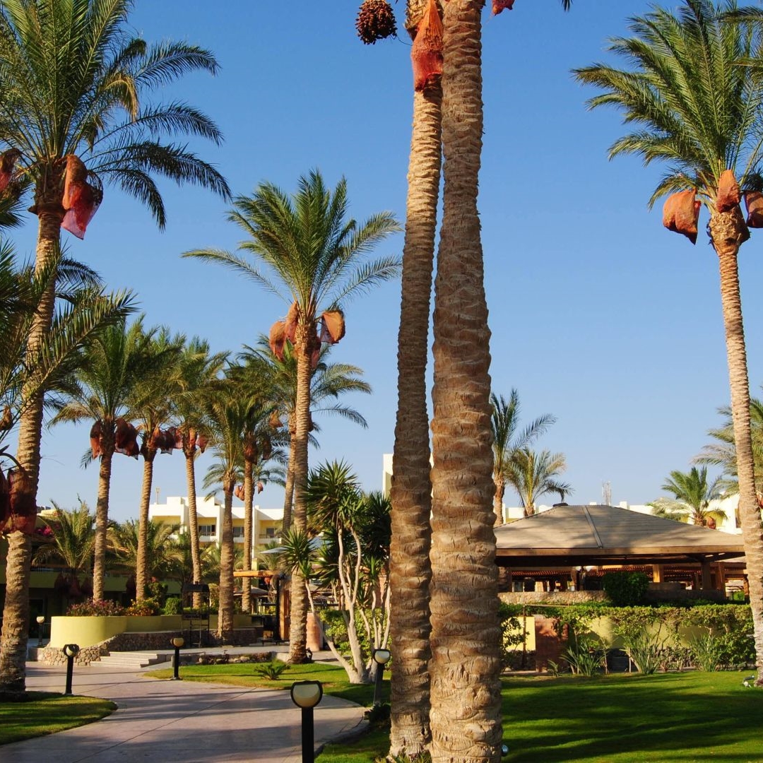 4 Sterne Hotel Palm Beach Resort