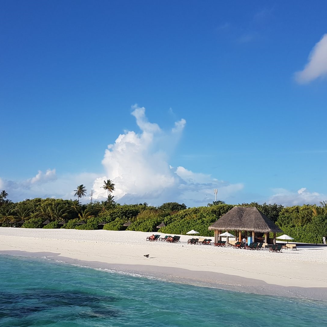 4,5 Sterne Coco Palm Dhuni Kolhu Resort & Spa