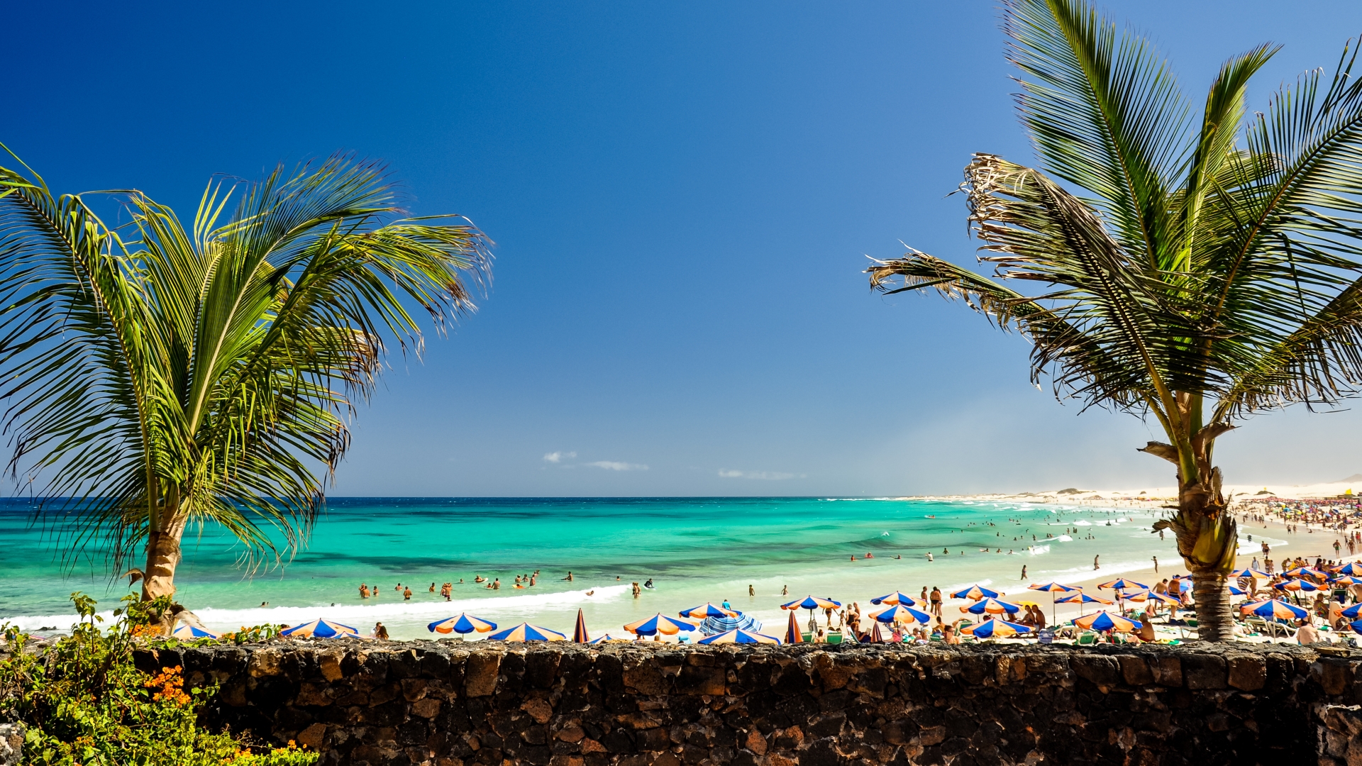 Fuerteventura - Insel des "ewigen" FrĂŒhlings