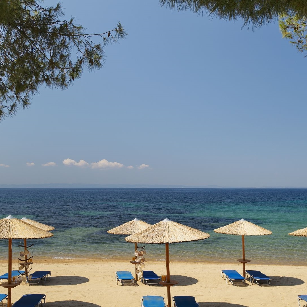 4 Sterne Hotel Blue Dolphin