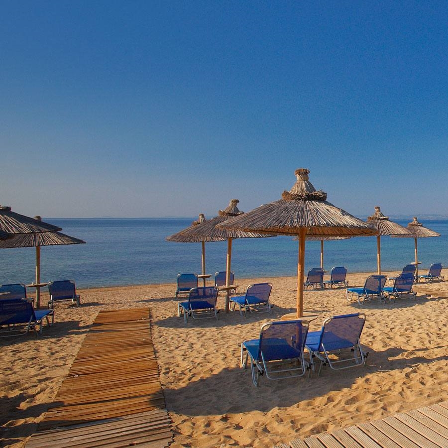 4 Sterne Hotel Blue Dolphin