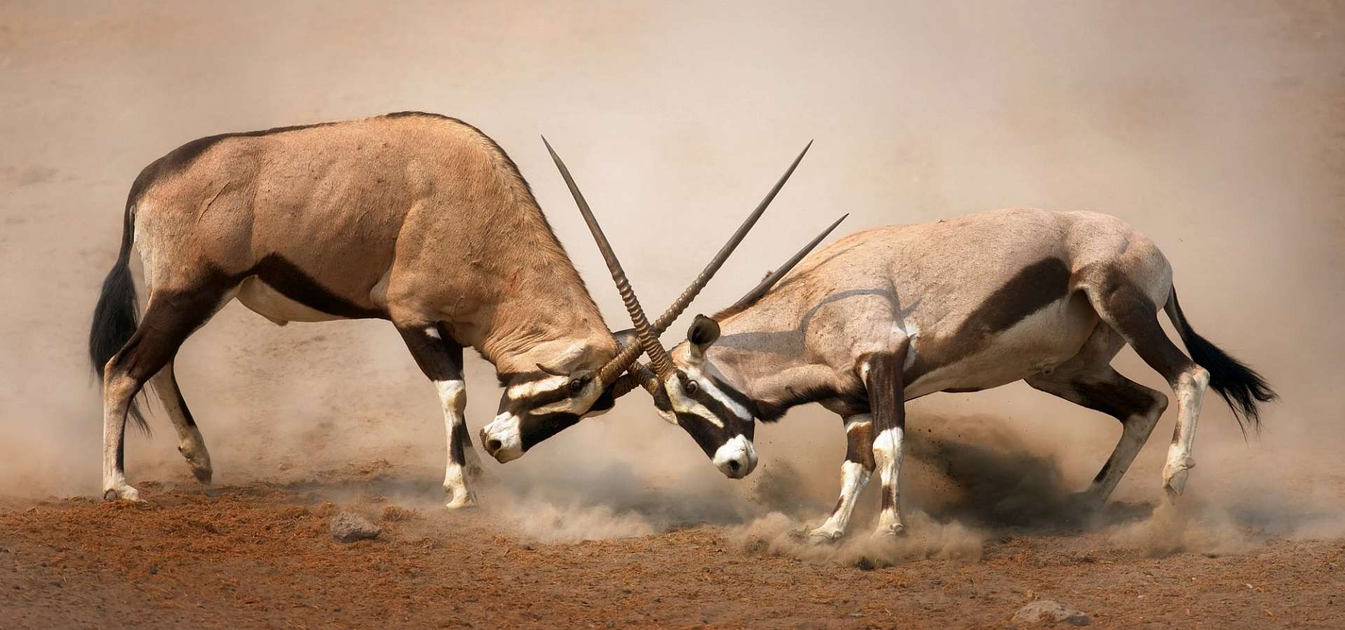 Rundreise durch Namibia