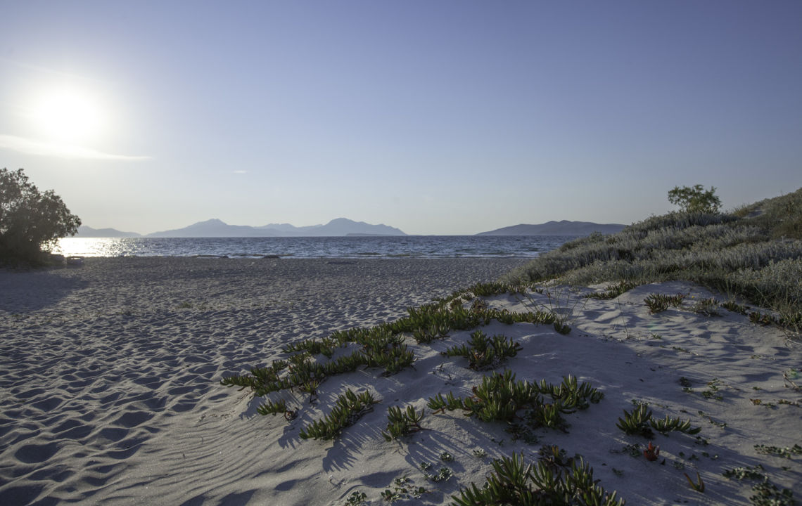 **** Hotel Caravia Beach auf der Insel Kos