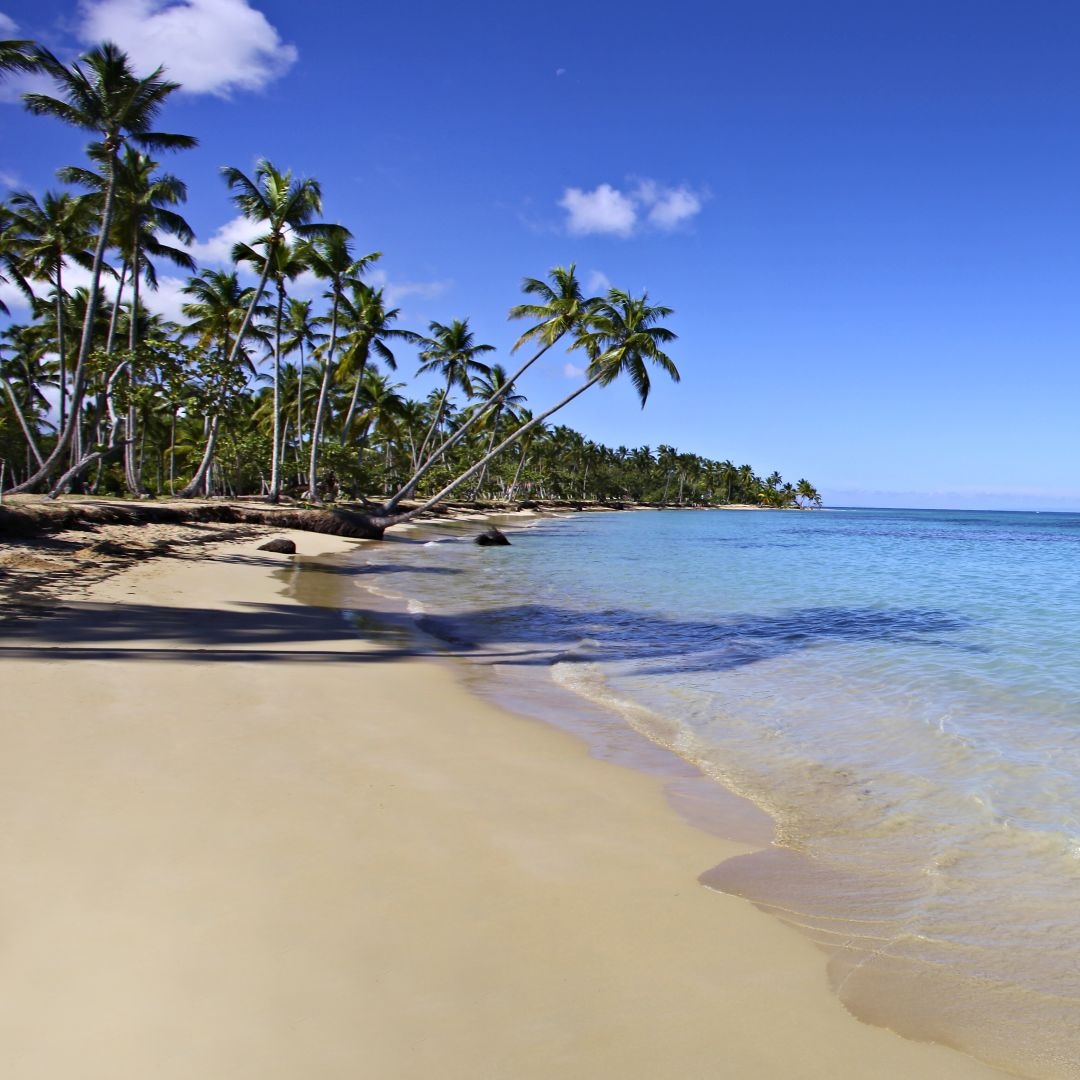 5 Sterne Hotel Grand Bahia Principe El Portillo