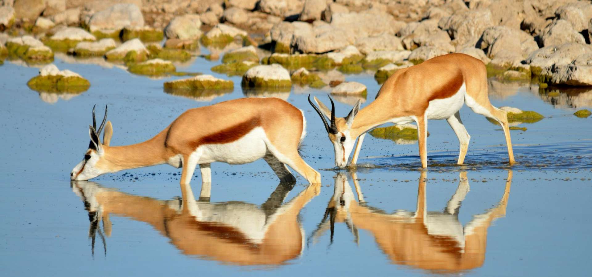 Rundreise durch Namibia