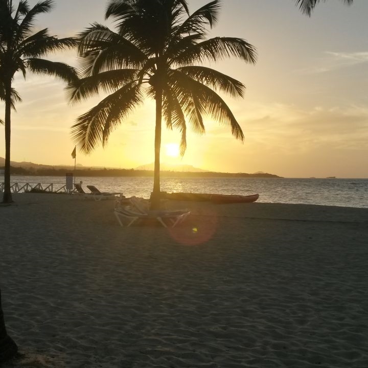 ***** Hotel COOEE at Grand Paradise Playa Dorada