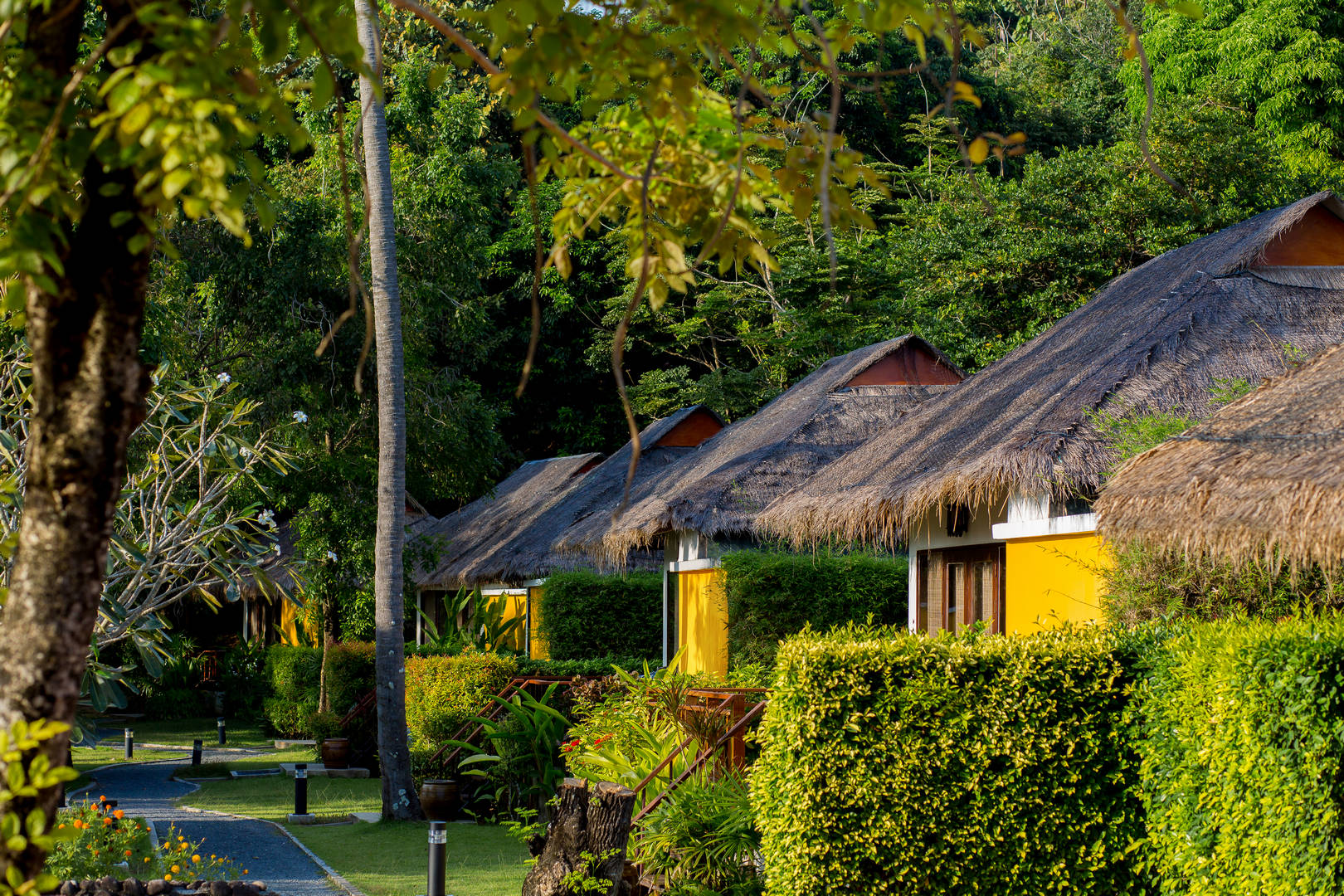 ****GLOW Elixir Resort Koh Yao Yai