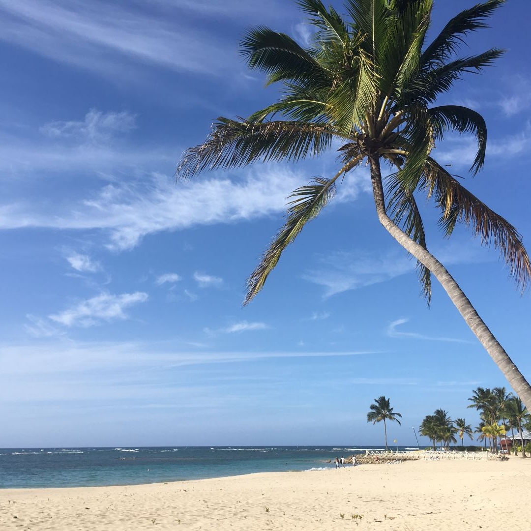 ***** Hotel COOEE at Grand Paradise Playa Dorada